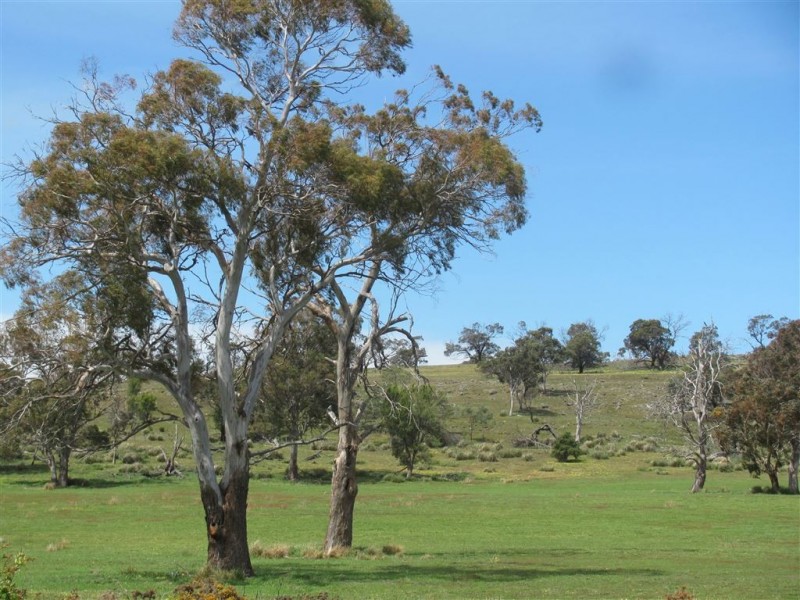 - Auburn Road, Ross TAS 7209