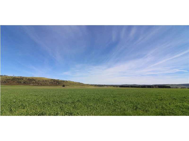 - Auburn Road, Ross TAS 7209