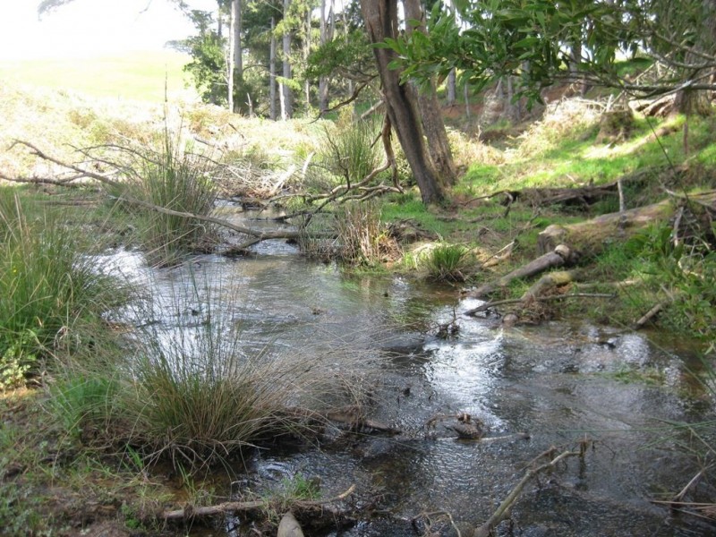 98 Croles Road, Trowutta TAS 7330