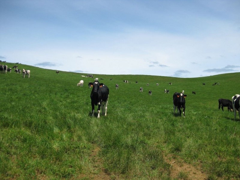 98 Croles Road, Trowutta TAS 7330