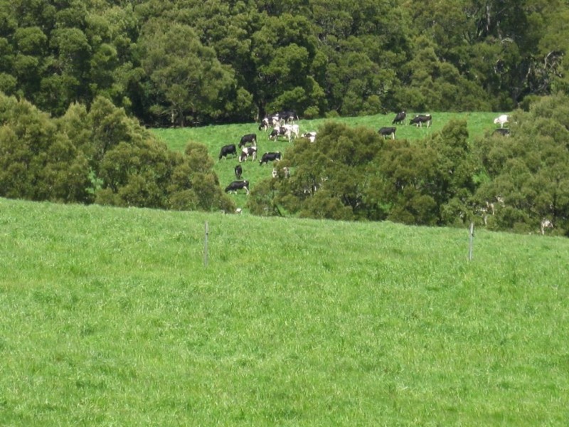 98 Croles Road, Trowutta TAS 7330