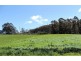 1840 Woodsdale Road, Levendale TAS 7120