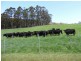 1840 Woodsdale Road, Levendale TAS 7120