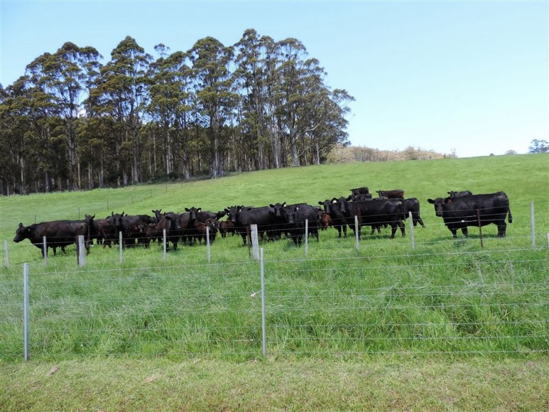 1840 Woodsdale Road, Levendale TAS 7120