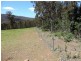 1840 Woodsdale Road, Levendale TAS 7120