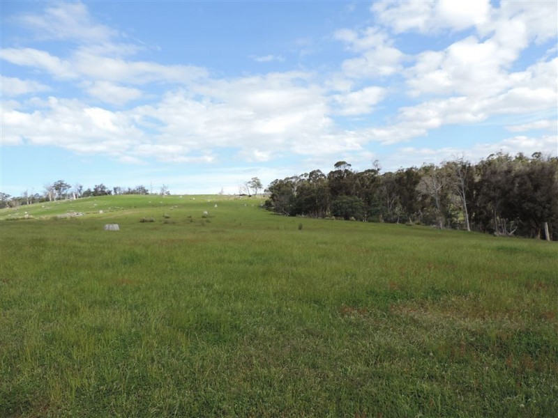 900 Swanston Road, Swanston TAS 7120