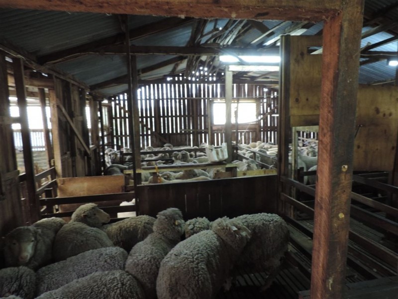 900 Swanston Road, Swanston TAS 7120