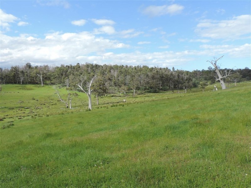 900 Swanston Road, Swanston TAS 7120