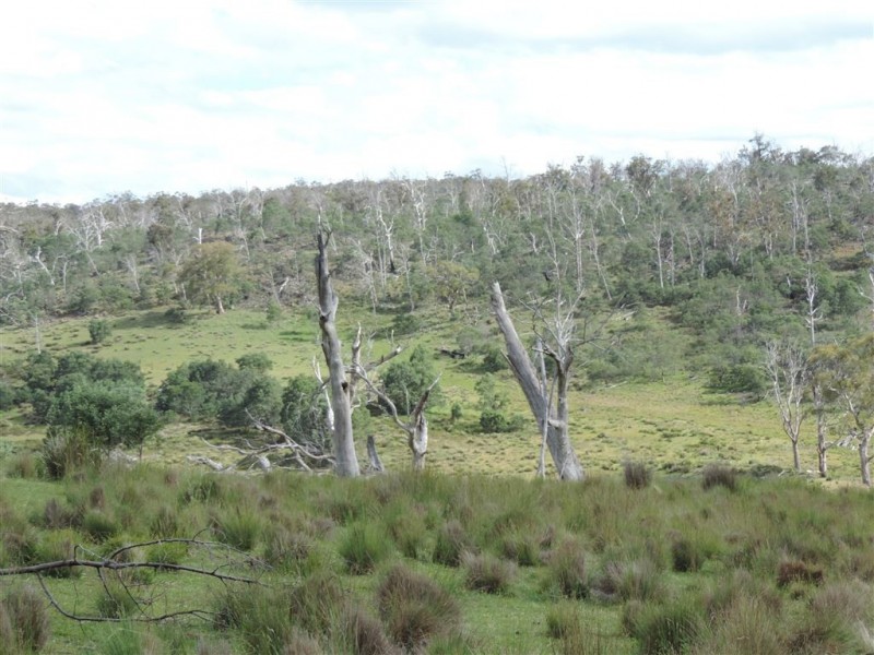 622 Swanston Road, Swanston TAS 7120