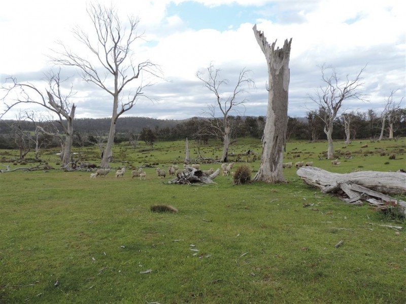 622 Swanston Road, Swanston TAS 7120