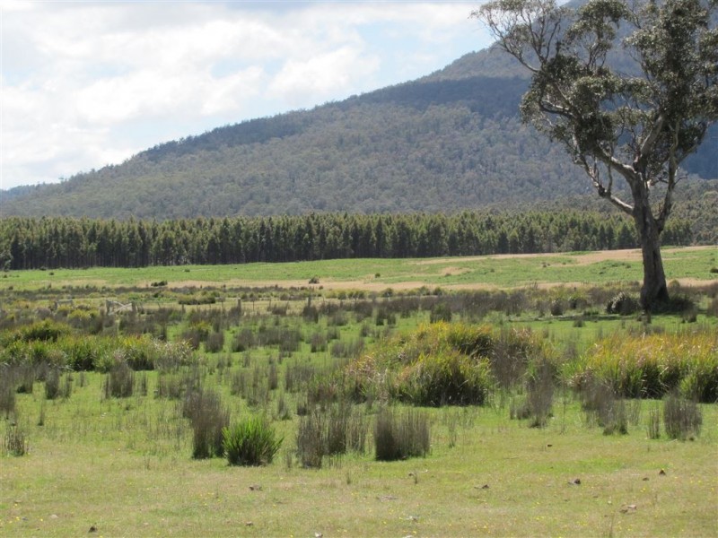 - Little Den Road, Millers Bluff TAS 7030