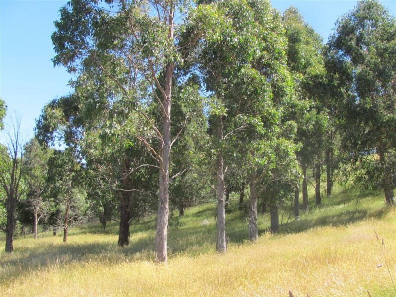 Lot 1 Black Post Road, Tunnack TAS 7120