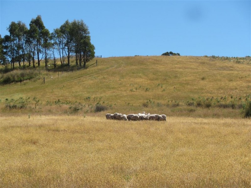 Lot 1 Black Post Road, Tunnack TAS 7120