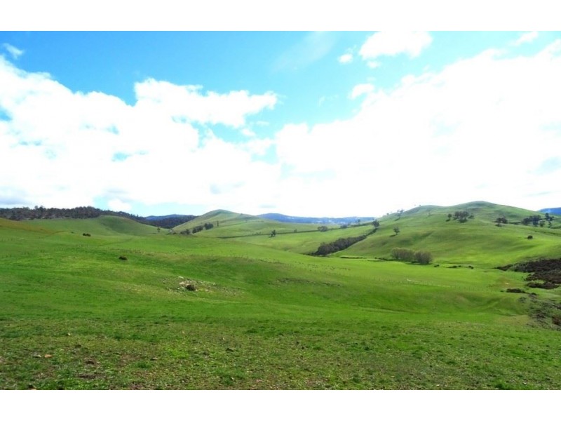 .2495. Colebrook Road, Colebrook TAS 7027