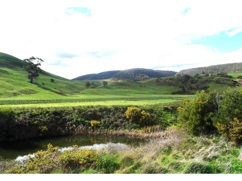 .2495. Colebrook Road, Colebrook TAS 7027