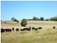 57 Lightwood Hills Rd, Beaconsfield TAS 7270