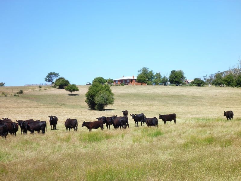 57 Lightwood Hills Rd, Beaconsfield TAS 7270