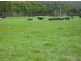 278 Blackwood Road, Togari TAS 7330