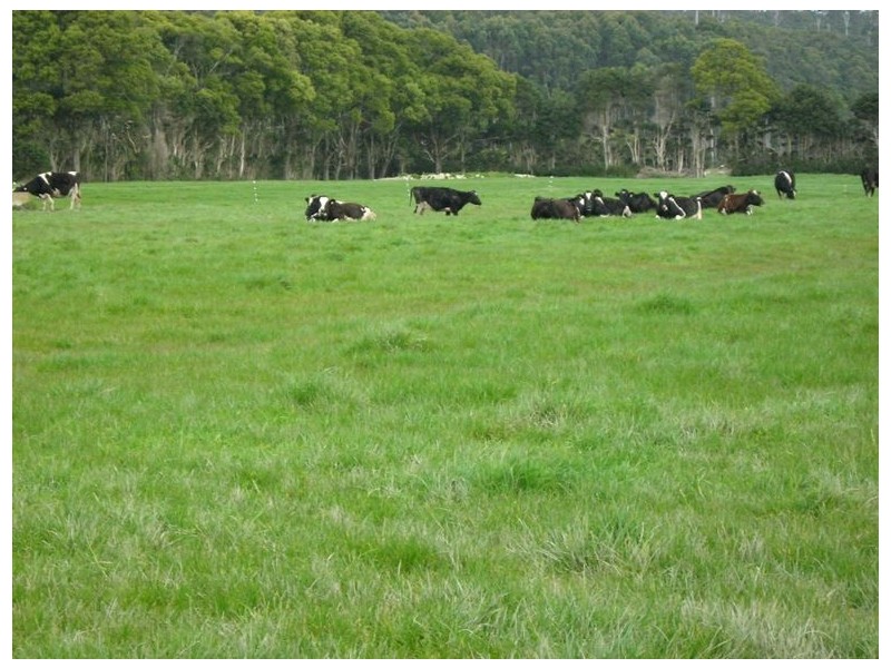 278 Blackwood Road, Togari TAS 7330