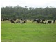 278 Blackwood Road, Togari TAS 7330