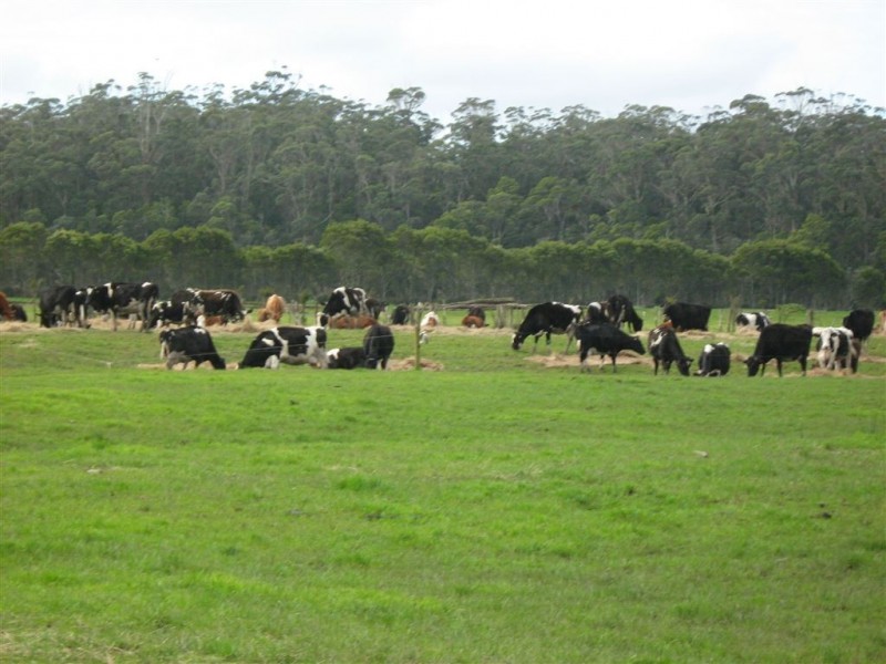 278 Blackwood Road, Togari TAS 7330