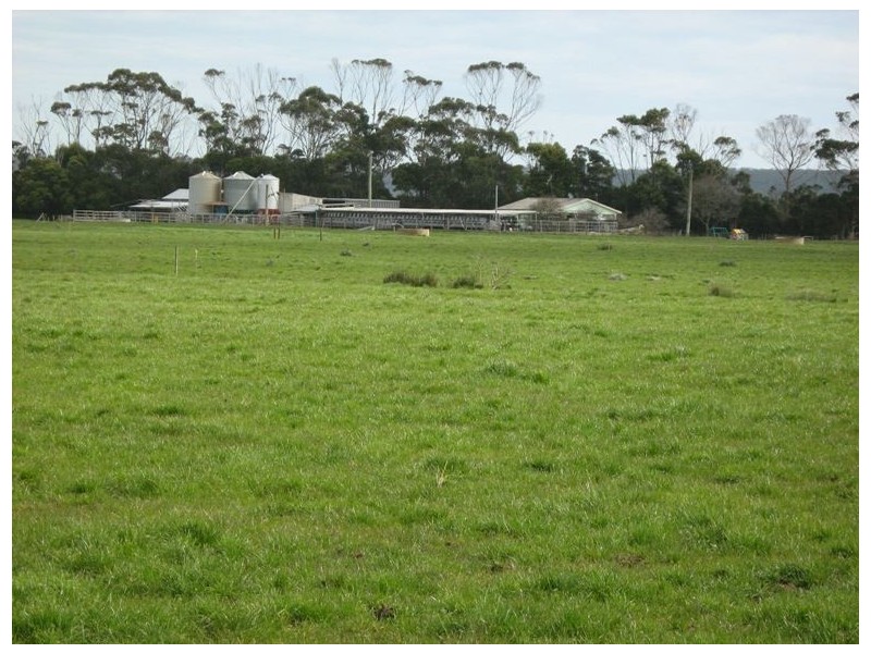 278 Blackwood Road, Togari TAS 7330
