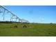145 Westwood Road, Carrick TAS 7291