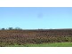 145 Westwood Road, Carrick TAS 7291