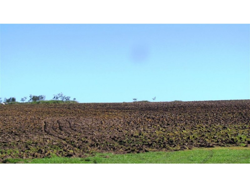 145 Westwood Road, Carrick TAS 7291