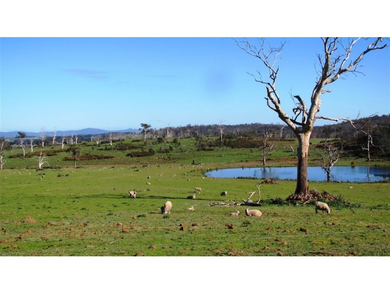 145 Westwood Road, Carrick TAS 7291