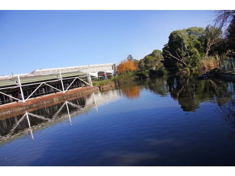 10 Douglas Parade, Croydon VIC 3136