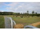 1948 Melba Highway, Dixons Creek VIC 3775