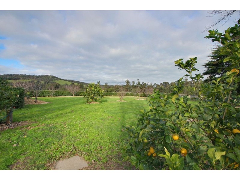 1948 Melba Highway, Dixons Creek VIC 3775