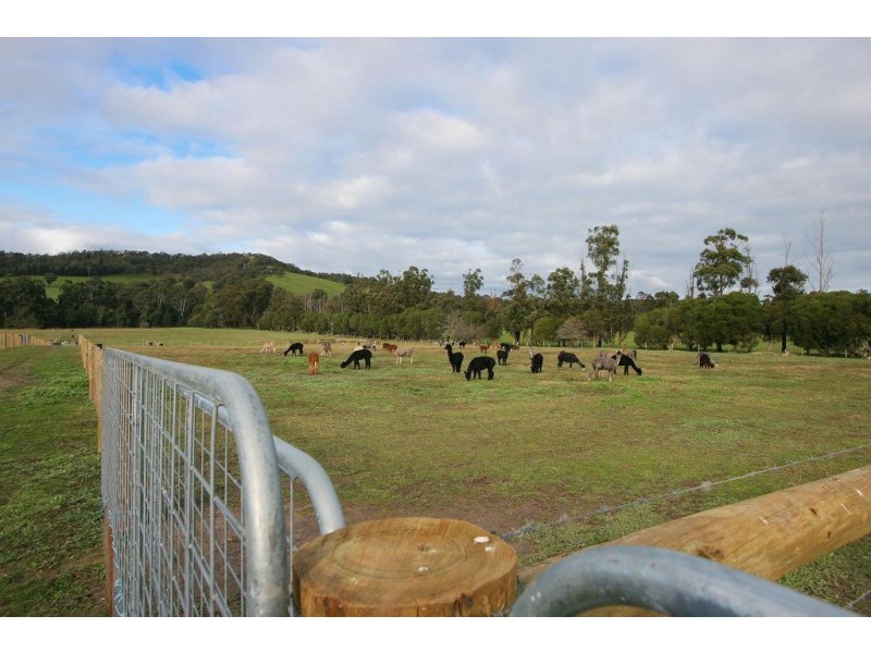 1948 Melba Highway, Dixons Creek VIC 3775