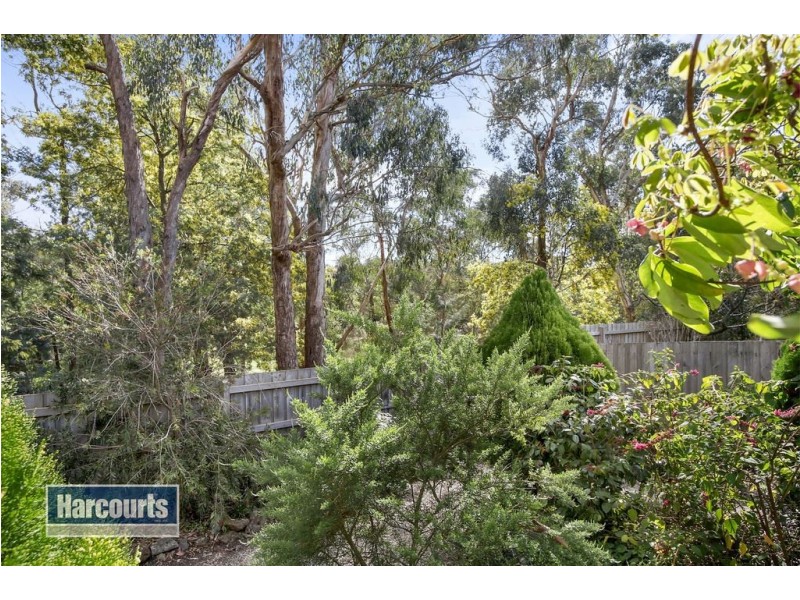 11 Prospect Court, Ringwood VIC 3134