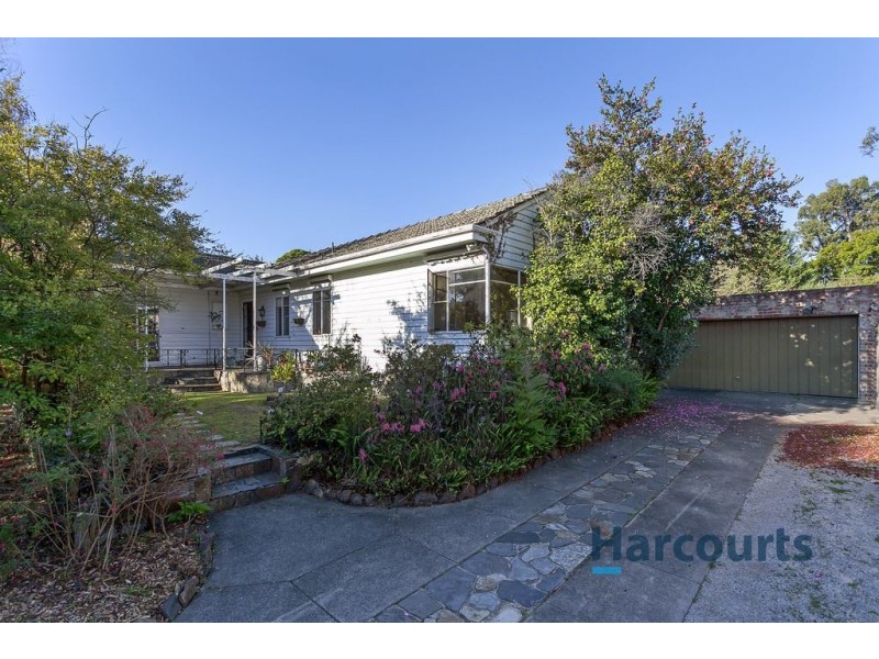 19 Pascoe Avenue, Croydon VIC 3136