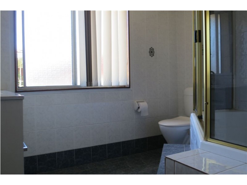 29 Reynolds Street, Old Toongabbie NSW 2146