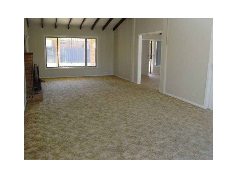 41 Gracelands Road, Quakers Hill NSW 2763