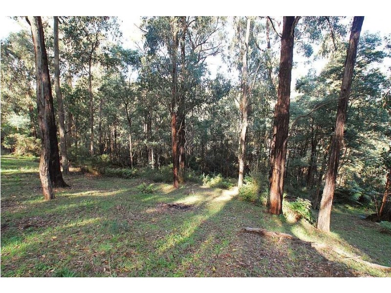 37 Mountain Road, Cockatoo VIC 3781