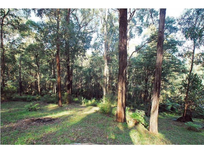 37 Mountain Road, Cockatoo VIC 3781