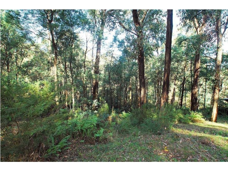 37 Mountain Road, Cockatoo VIC 3781