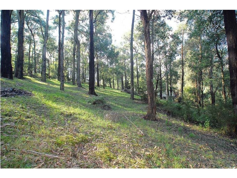 37 Mountain Road, Cockatoo VIC 3781