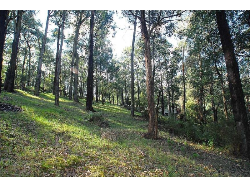 37 Mountain Road, Cockatoo VIC 3781