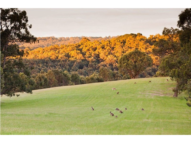 61 Yackatoon Road, Beaconsfield Upper VIC 3808