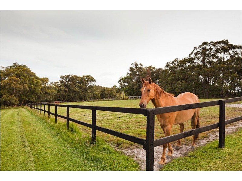 61 Yackatoon Road, Beaconsfield Upper VIC 3808