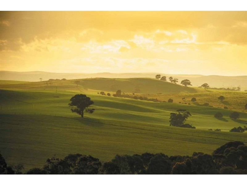 Lot 22 Brumby Court, Kapunda SA 5373