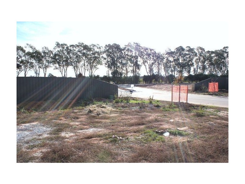 43 Coonawarra Avenue, Andrews Farm SA 5114