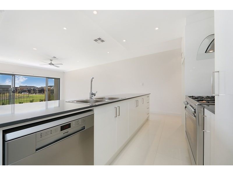 12 Palani Court, Mawson Lakes SA 5095