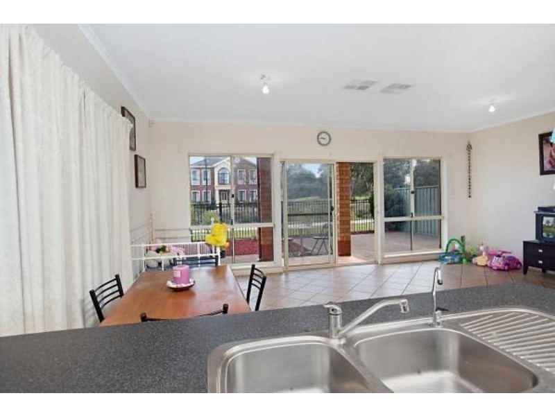 51 Avocet Drive, Mawson Lakes SA 5095