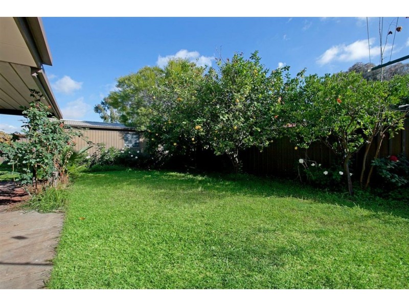 29 Magnolia Crescent, Parafield Gardens SA 5107